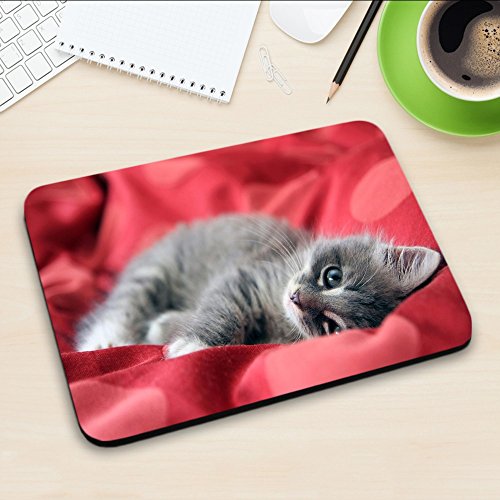 Katzen 10016, Graue Katze, Mousepad Anti Rutsch Unterseite für Optimalen Halt Kompatibel mit allen Maustypen (Kugel, Optisch, Laser) Ideal für Gamer und für Grafikdesigner. - 3