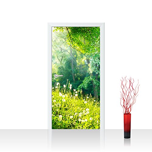 Türtapete selbstklebend 100x211 cm PREMIUM PLUS Tür Fototapete Türposter Türpanel Foto Tapete Bild - SUNNY FOREST - Wald Bäume Natur Baum grün Sonnenschein Sonne - no. 030