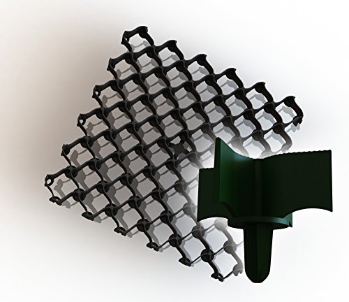 Preisvergleich Produktbild ALTADirekt Rasengitter Parkplatzgitter Kunststoff mit Klippsystem und Bodenanker 50x50cm (Schwarz)