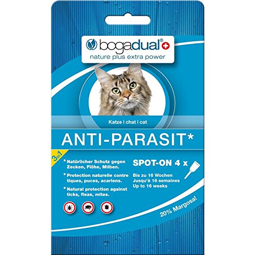 Katzen Mit Flöhen Milben Tipps Infos Fressnapf