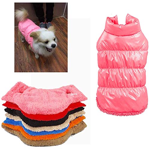 Boehner Automne Hiver Chien Chat Vêtements Vêtements Chaud vers Le Bas Manteau, 7 Couleurs Classique Animal Outwear Veste en Duvet pour Teddy, Yorkshire Terrier, Chihuahua, Poméranie