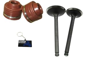 STONEDER Válvulas de escape de admisión de 23 mm 27 mm para Lifan YX 125 140 cc Pit Dirt Bike