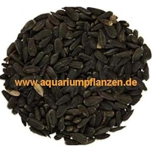 20 kg schwarze Sonnenblumenkerne, Vogelfutter