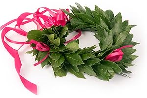 CORONEDILAUREA.COM Corona di laurea Royal con foglie di alloro fresco, Qualità premium, Made in Italy