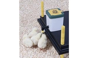 AUTDER WP25 Chick Brooder With 500ml Nipple Drinker