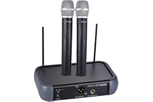 Btuty Microphone sans Fil Système de mic VHF Double canal avec fonction d'écho 2 microphones et 1 récepteur Câble audio 6,35 mm pour karaoké Fête de famille Performance Présentation Public Address