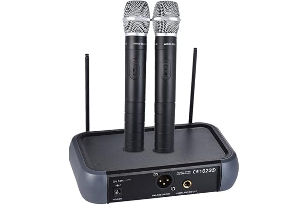 Btuty Microphone sans Fil Système de mic VHF Double canal avec fonction d'écho 2 microphones et 1 récepteur Câble audio 6,35 mm pour karaoké Fête de famille Performance Présentation Public Address