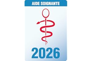 TOPSTUFF - Caducées Soignants 2026 – Autocollant pour Pare-Brise Voiture – Vitrophanie Résiste aux UV (Aide-Soignante) - 1