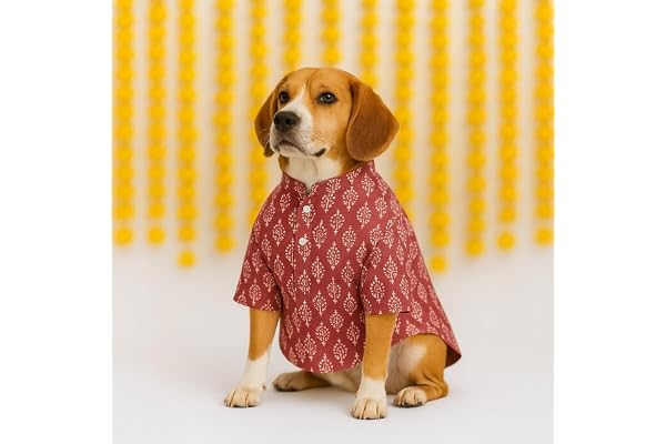 Thunder Tails Cotton Dog Kurta for Medium Dogs Comfortable Stylish Outfit for Cocker Spaniel, Hound, Beagle, Corgi Lightweight, Trendy Pet Clothing (Mauve, 2XL)