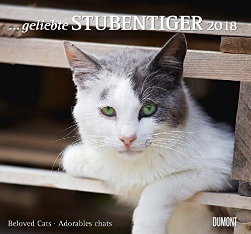 Geliebte Stubentiger 2018 - DuMont Wandkalender - mit den wichtigsten Feiertagen - Format 38,0 x 35,5 cm