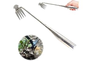 Topbashgo - Dispositivo di rimozione delle erbacce, strumento da giardinaggio, raschia fughe con manico (modello in acciaio inox)