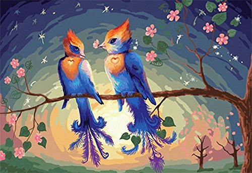 Liebe Vögel-DIY Anstrich 16x20 Zoll Farbe durch Zahl Kits einzigartiges Geschenk Frameless-Kunst-Ölgemälde auf Leinwand