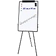 TUKA-i-AKUT Vloerstandaard tijdschriftenrek, 4 planken krantenrek literatuurhouder, vloerstaande displaystandaard voor brochure krantentijdschrift met sloganruimte, gemaakt van staal, 40 x 29 x 146 cm