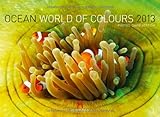 Image de Ocean - World of Colours 2013