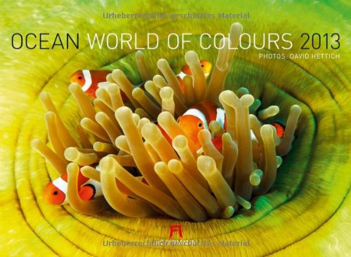 Ocean - World of Colours 2013
