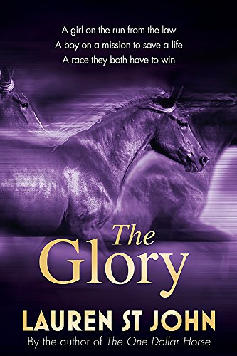 Télécharger The Glory PDF