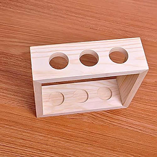 Gazechimp Kristall Glas Vase Halterung Blumen Vase mit Reagenzglasständer Holz Tisch Haus Dekoration - 5