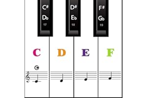 MUYOS Piano Keyboard Stickers for 54/61/88 Keys – Transparent & Removable Piano Keyboard Note Stickers and Piano Key Labels for Kids and Beginners (Color)