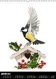 Image de Le jardin aux oiseaux : Photographies d'oiseaux et de fleurs du jardin mis en scène. Calendrier mural A3 vertical