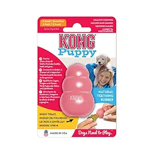 KONG Puppy KONG Toy, X-Small (Colors Vary)