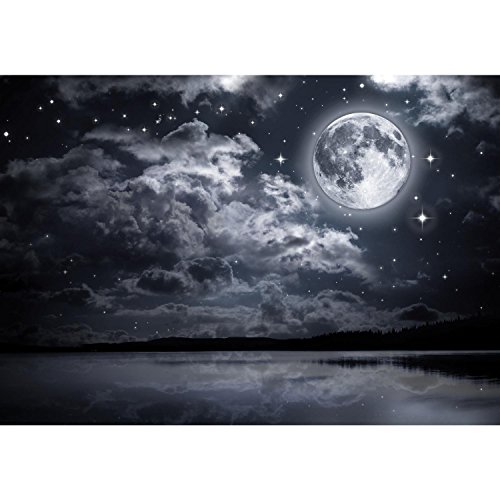 Fototapete Vollmond 308 x 220 cm – Vliestapete – Wandtapete – Vlies Phototapete – Wand – Wandbilder XXL – !!! 100% MADE IN GERMANY !!! Runa Tapete 9116010c - 6