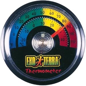 Exo Terra analoges Thermometer zur Platzierung im Terrarium