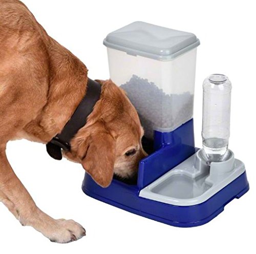 Pet-Food-Water-Dispenser-2in1-with-Detachable-Lids-for-Easy-Refill-An-Easy-Way-to-Feed-your-Pets