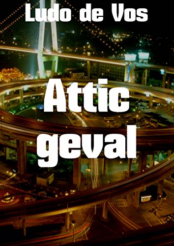 Ebook Attic geval