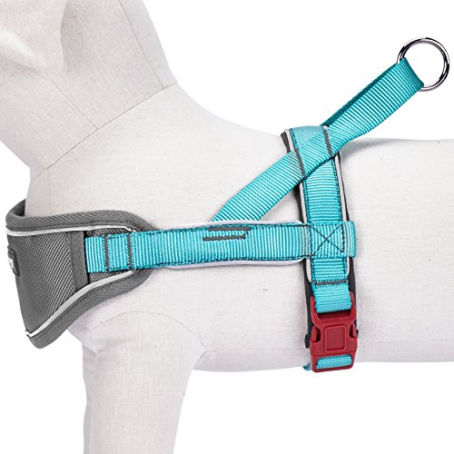 Blueberry-Pet-3M-Reflective-Strips-Nylon-Solid-Color-Neoprene-Padded-AntiNo-pull-Adjustable-Dog-Training-Harness