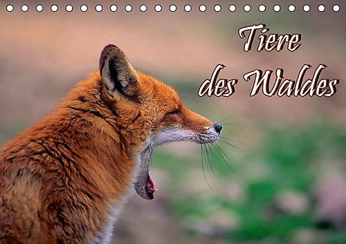Tiere des Waldes (Tischkalender 2017 DIN A5 quer): Naturkalender mit 13 Tiermotiven (Geburtstagskalender, 14 Seiten ) (CALVENDO Tiere)