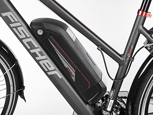 Fischer Damen E-Bike Trekking 24-Gang Proline ETD 1606, 28 Zoll, 19183 - 13