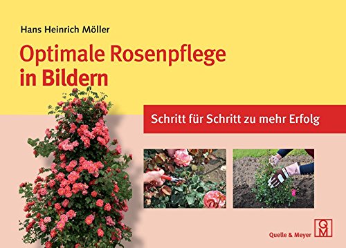 Download Optimale Rosenpflege in Bildern: Schritt für Schritt zu mehr Erfolg Download Optimale Rosenpflege in Bildern: Schritt für Schritt zu mehr Erfolg