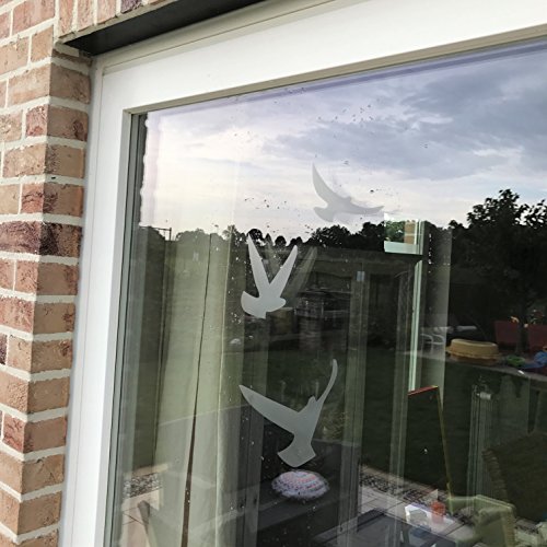Greifvogel-Silhouetten, selbstklebend, in verschiedenen Farben verfügbar, verhindert Vogelschlag, 17 Warnvögel – Sablés-dépolis-translucides - 2