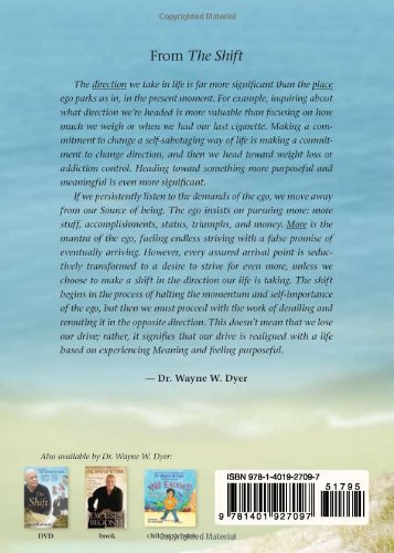 Book's Cover of The Shift: Taking Your Life from Ambition to Meaning