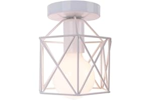 iDEGU Lámpara de Techo Industrial de Metal Diseño de Jaula Hexágono Sencilla Iluminación de Techo E27 Lámpara Colgante Vintage para Pasillo Dormitorio Salón Café Restaurante (15cm, Blanco)