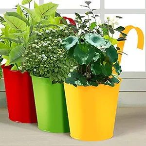 Story@Home Railing Planter, Plant Holder - Pack of 3