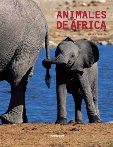 Download Animales de África (Manuales (everest))