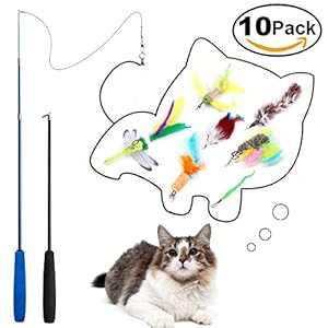 [10 en 1 ] Teeye 10pcs Juguete Pluma de Gato,Varita retráctil para Gato,Juguete de Cazador de Gatos Interactivo para ejercitar Gatos, Incluye 2 varitas Mágicas y 8 Plumas de Recambio (10 en 1)