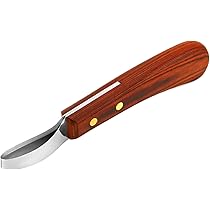 Raspa Per Zoccolo QWORK 200mm - Acciaio Carbonio, Impugnatura Gomma, Per Maniscalchi - Foto 4