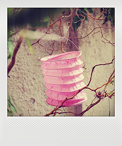 kadoh Papierlampions Set/5 pink-lila (M) - 4