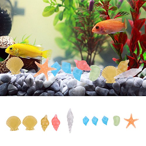 Hjuns® Lot de 10pcs Pierres Lumineuses artificielles pour Décorations d’Aquarium Paysage modèles couleurs aléatoires Hjuns® Lot de 10pcs Pierres Lumineuses artificielles pour Décorations d’Aquarium Paysage modèles couleurs aléatoires
