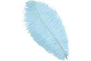 DUORIES Lot 10 plumes d'autruche naturelles 25 à 30 cm Plumes pour loisirs créatifs Accessoires d'attrape-rêves Décoration la maison Costume Décoration table mariage Décoration fête Chapeau Bleu clair