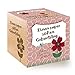 Produktbild Feel Green Celebrations Ecocube, Schokoladenblume, Holzwürfel Mit Lasergravur «Einen Super Süßen Geburtstag», Nachhaltige Geschenkidee, Anzuchtset, Made in Austria