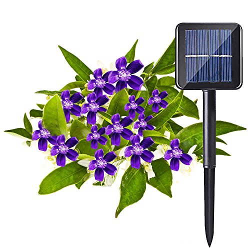 Kyson 50er LED Solar Lichterkette Blumen Garten Außen Lila 5 Meter, Solar Blüten Beleuchtung für Party, Weihnachten, Outdoor, Fest Deko usw. - 2