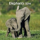 Elephants 2014. Broschürenkalender by 