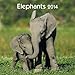 Elephants 2014. Broschürenkalender by 