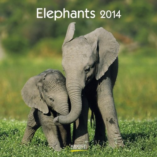 Elephants 2014. Broschürenkalender