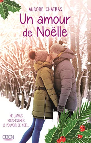 Télécharger Un amour de Noëlle PDF Ebook En Ligne