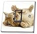 Produktbild Katze Kätzchen Lichtschalter Wandaufkleber aus Vinyl (84)
