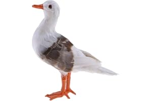 Tenlacum - Scultura realistica con uccelli di gabbiano, per casa, giardino, spiaggia, mare, decorazione nautica, molto realistica